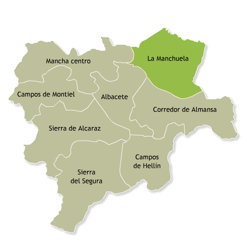 La Manchuela